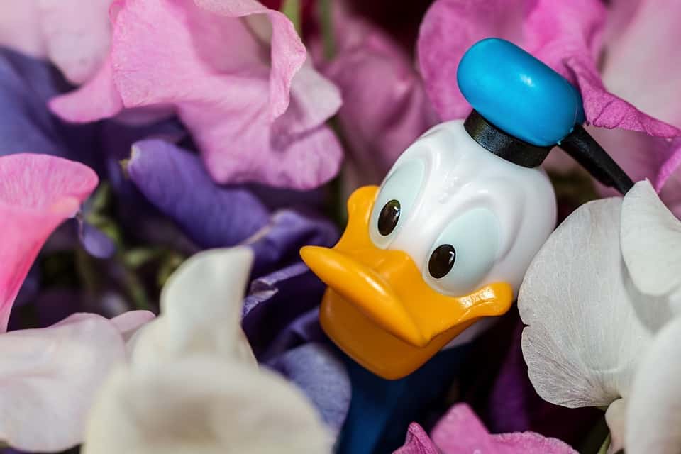 donald-duck-973226_960_720