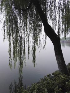 West Lake er kjent for landskapet rundt sjøen.